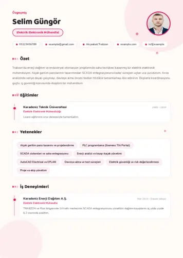  cv indir